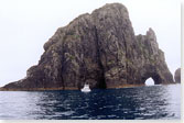 The Hole in the Rock, Piercy Island, Bay of Islands